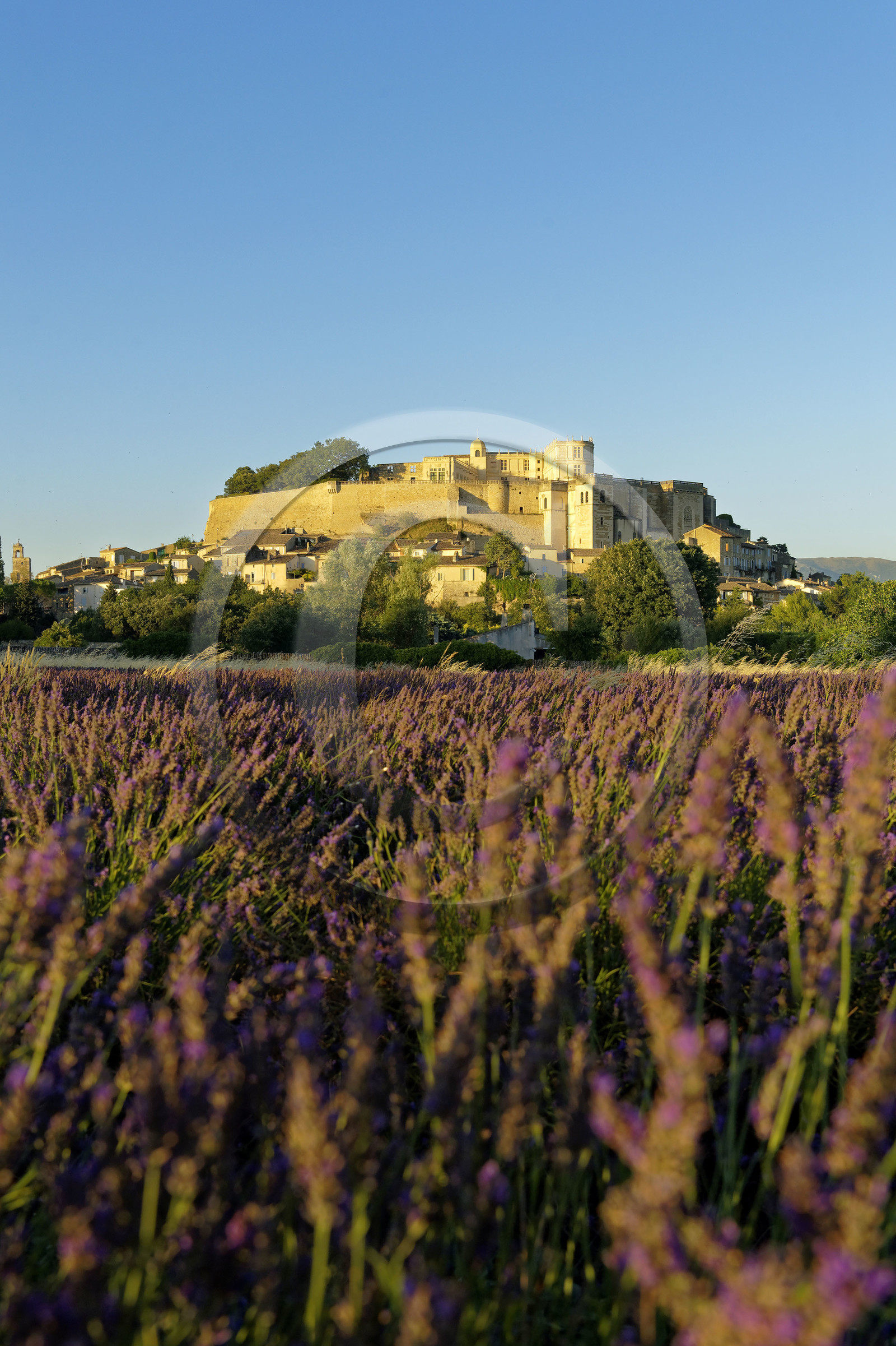 France, Grignan