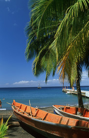 Anse Noire. Martinique. Antilles Françaises