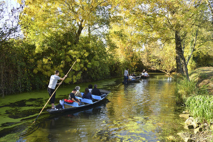 France, Marais Poitevin