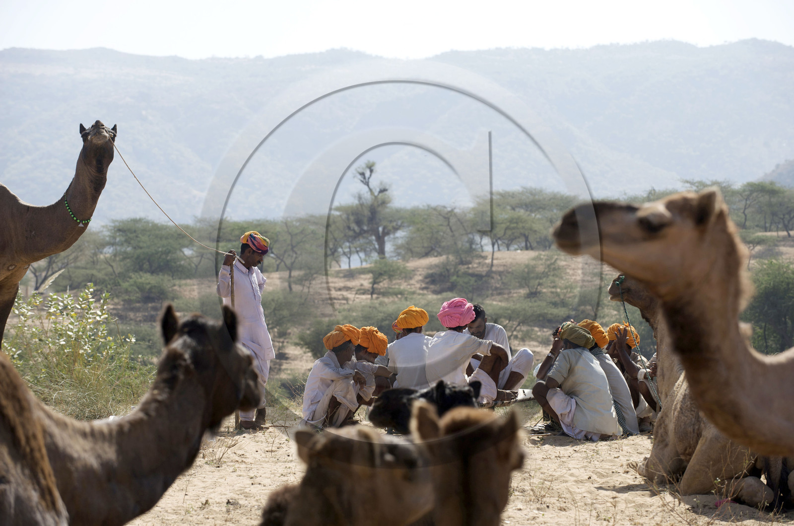 Inde, Pushkar