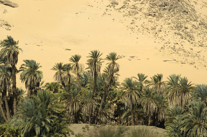 Egypte, vallée du Nil