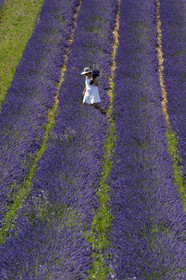 France, Valensole