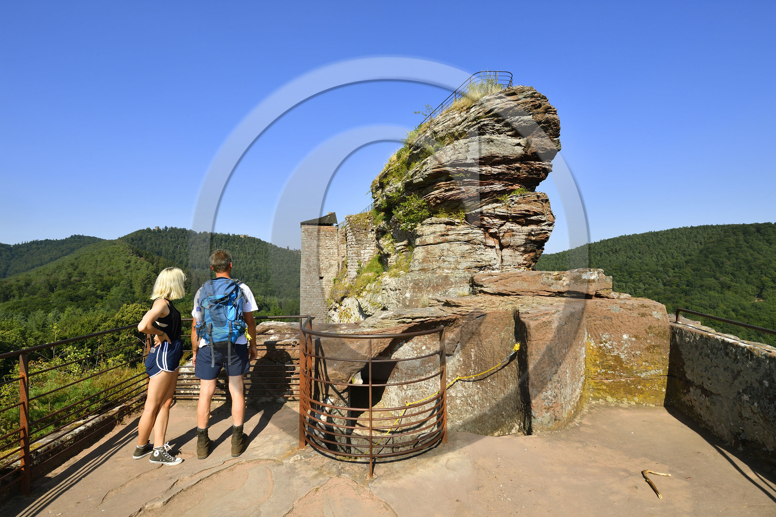 France, Fleckenstein