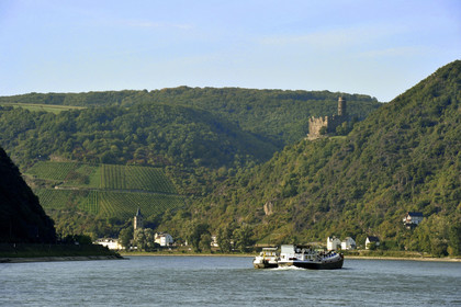 Allemagne, Rhin
