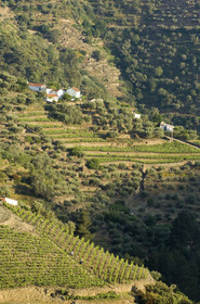 Douro, Portugal