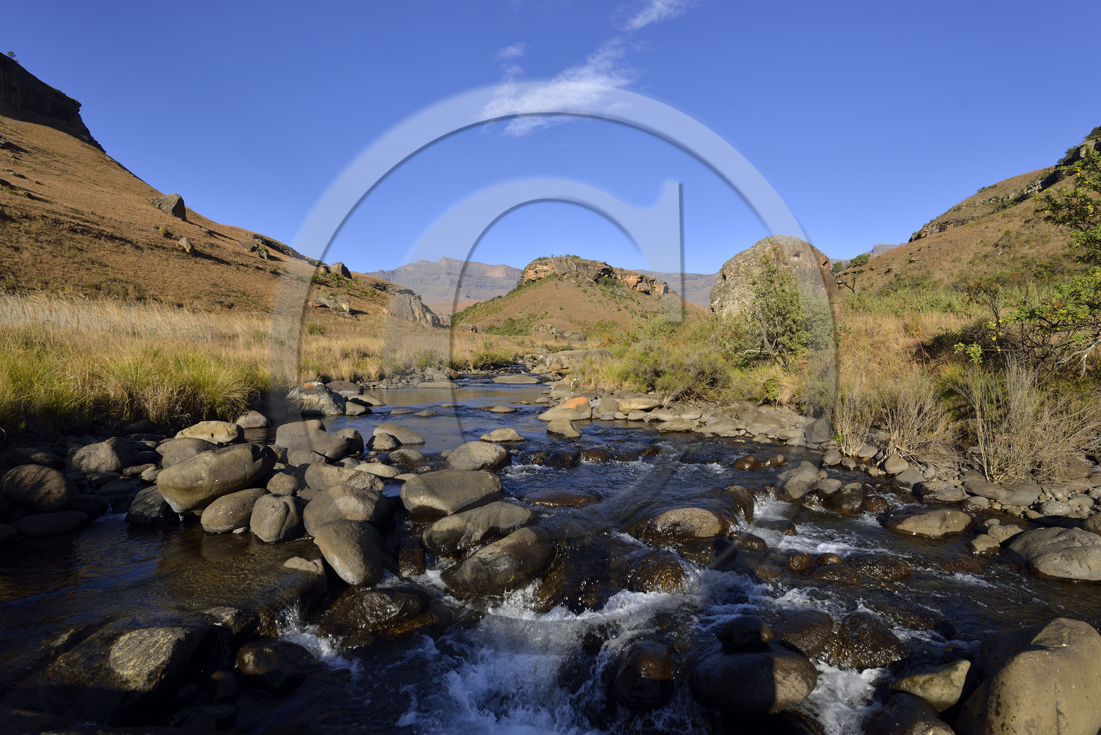 AFS, Drakensberg