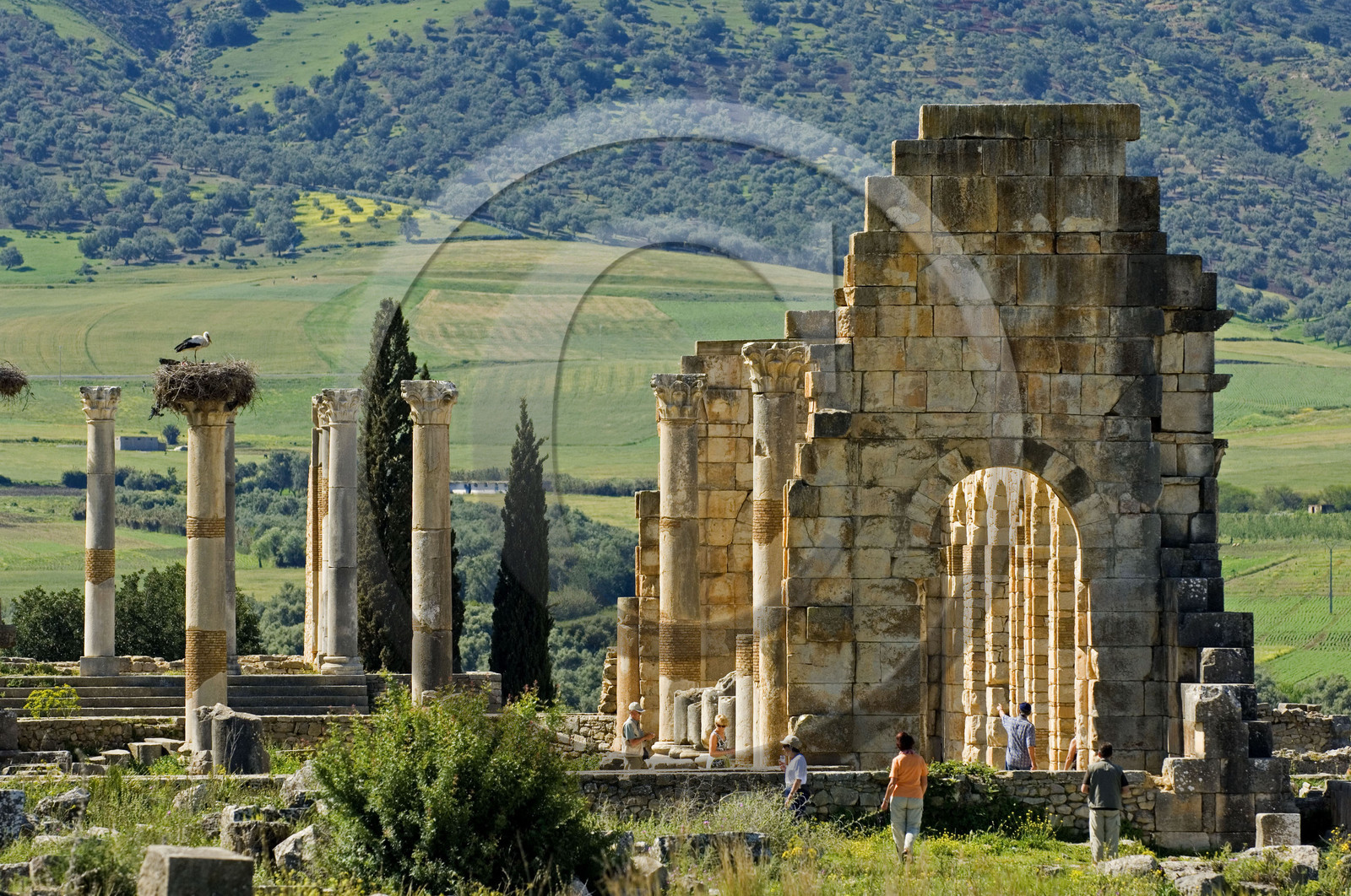 Volubilis, Morokko