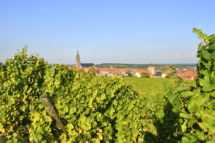 France, Dambach la Ville