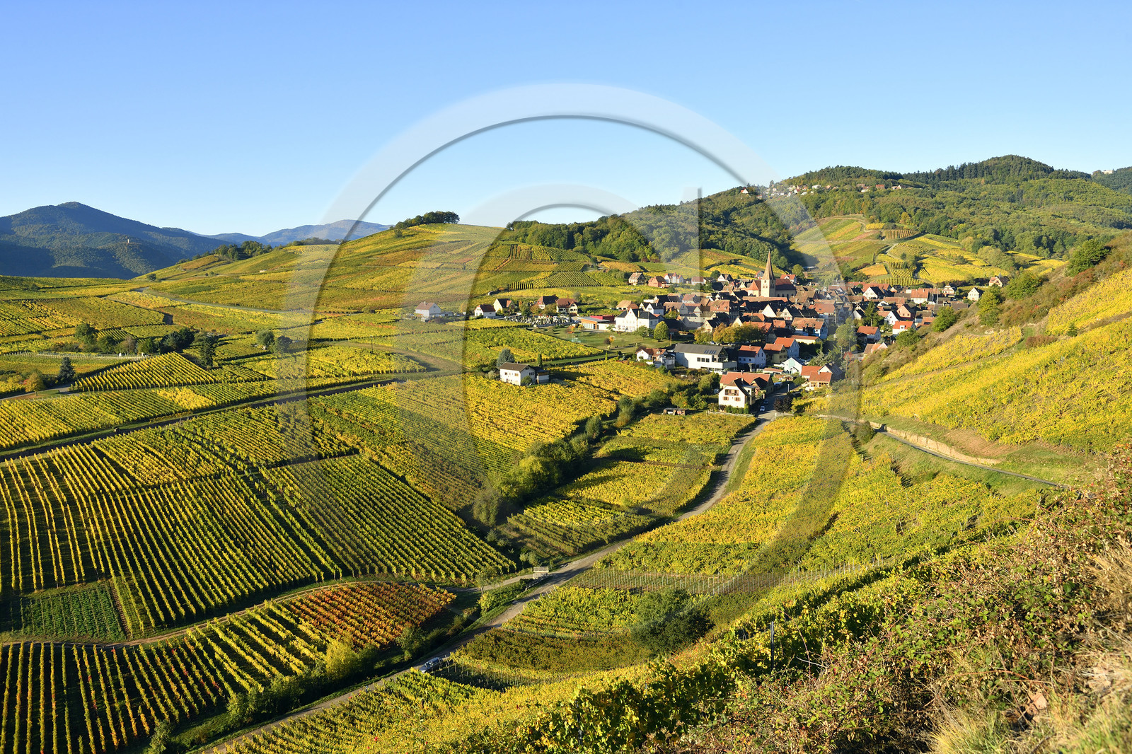 France, Niedermorschwihr