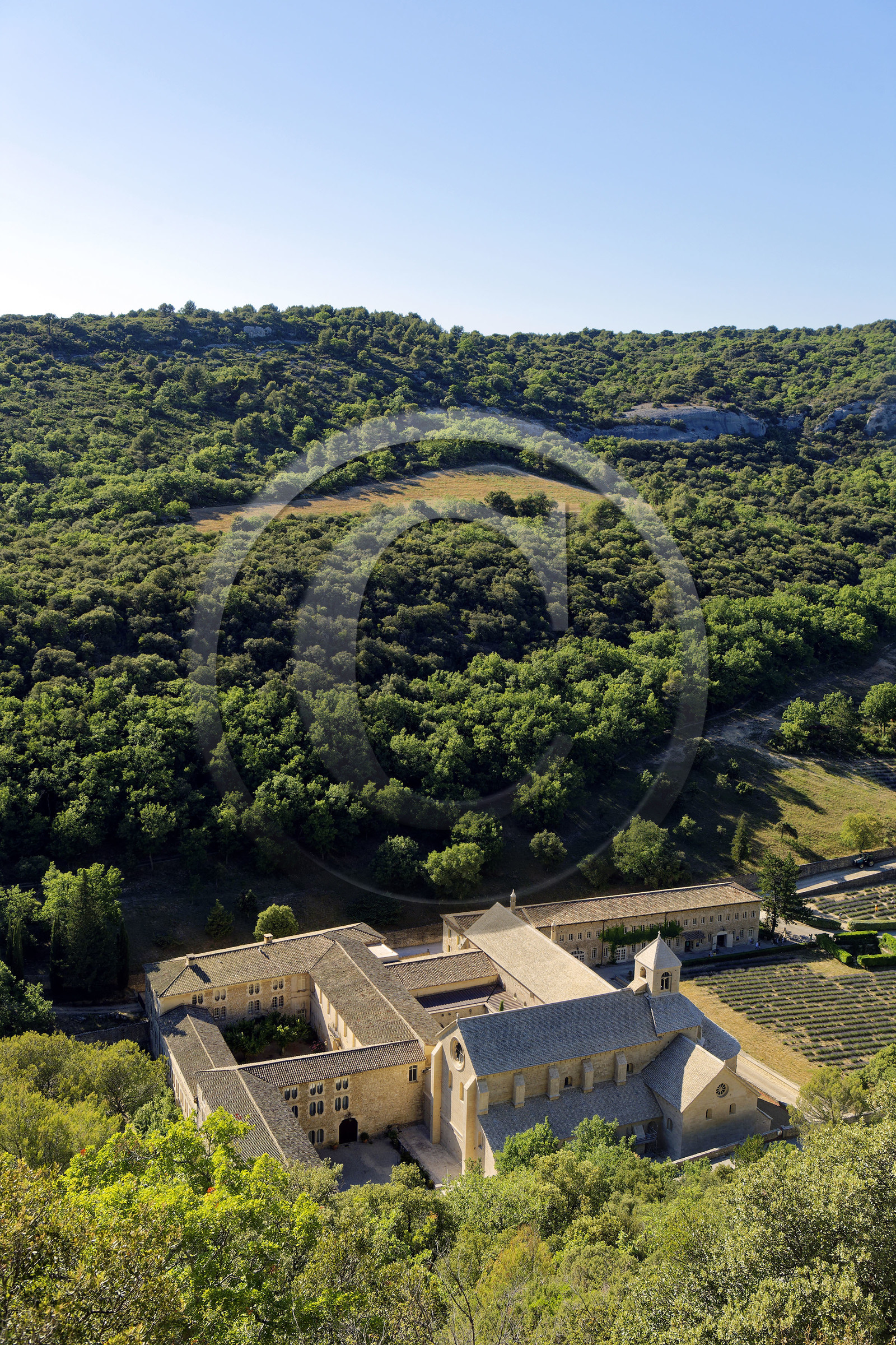 France, Senanque