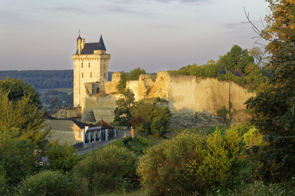 France,  Chinon
