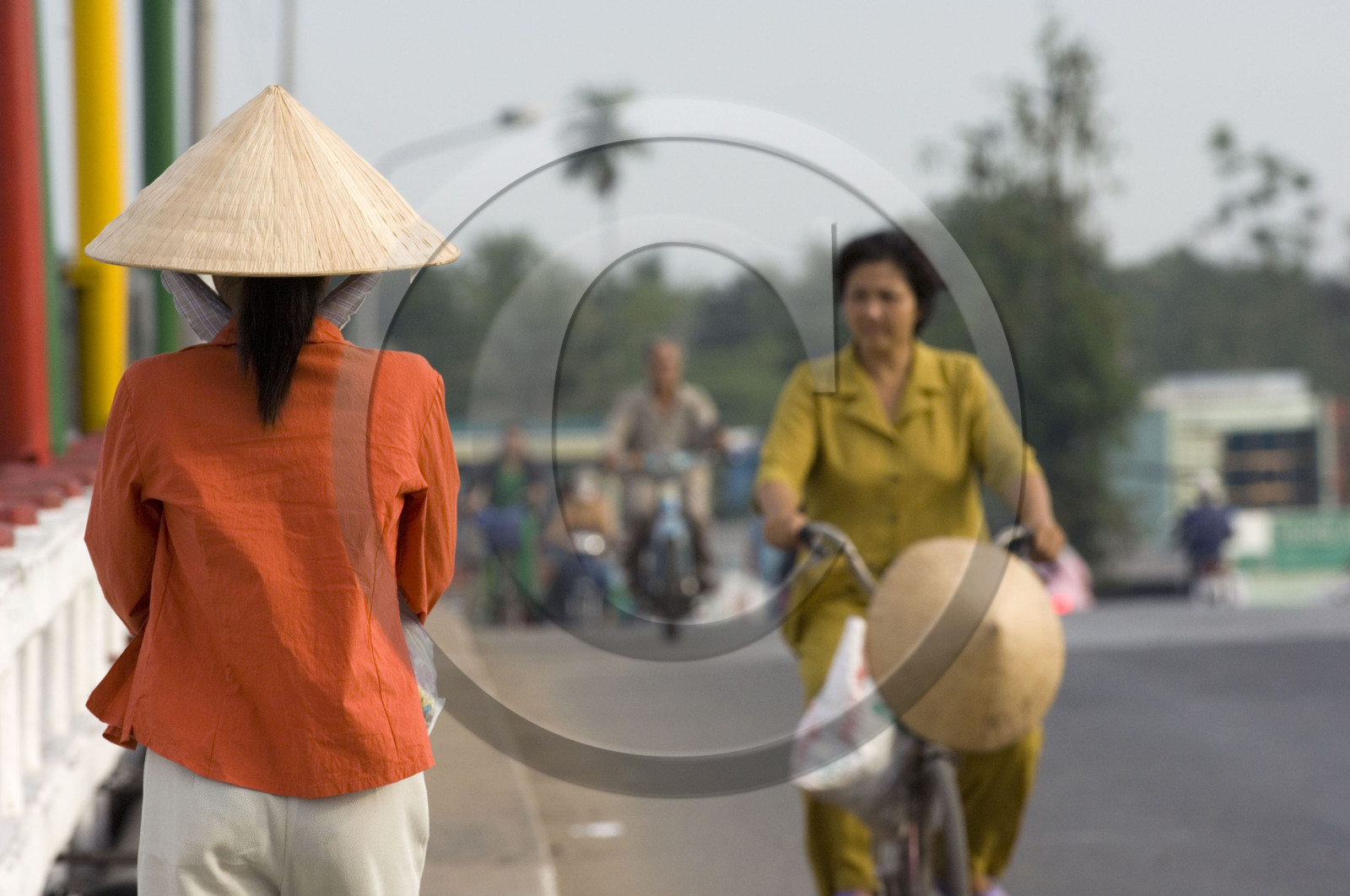 Delta du Mékong, Vietnam
