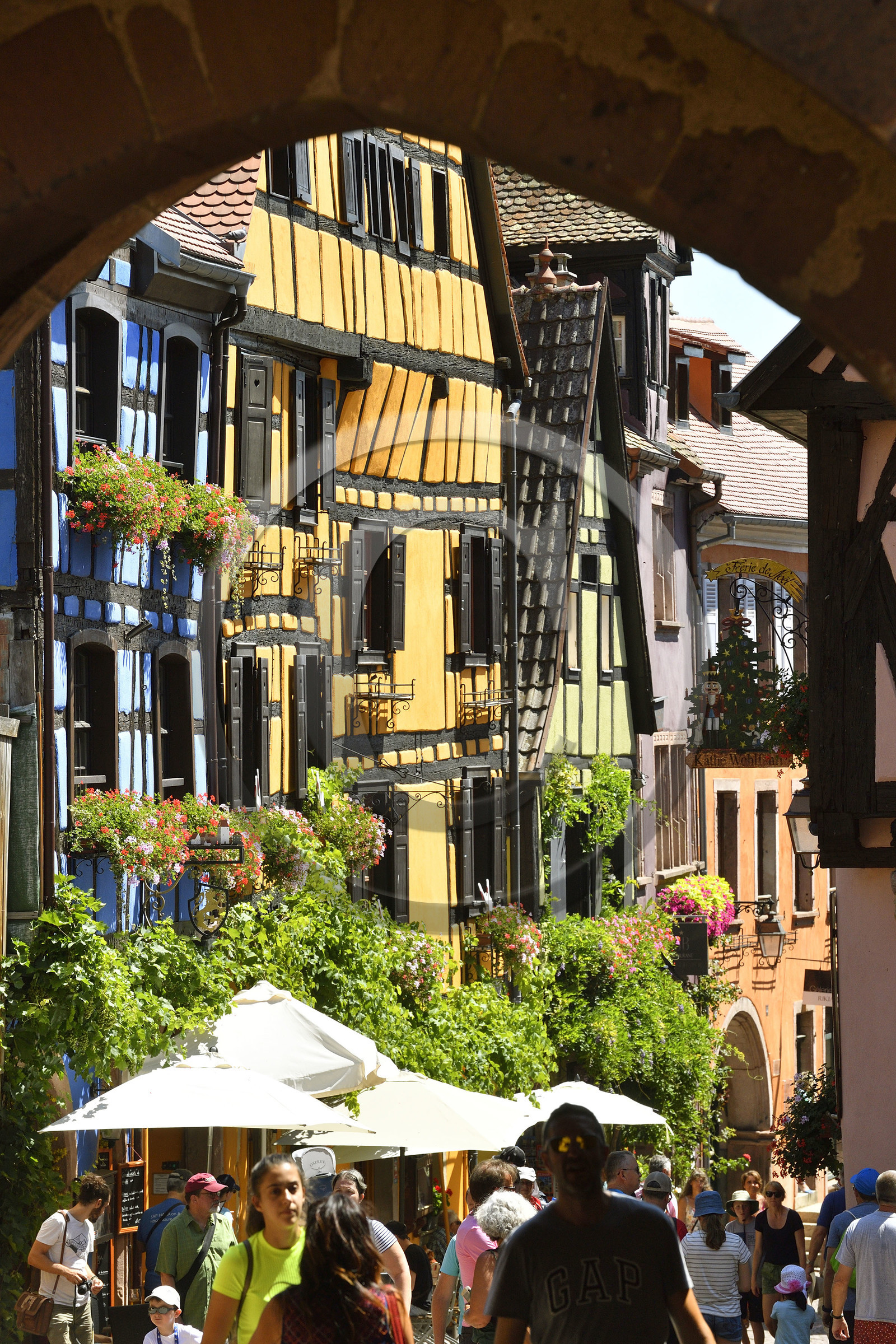 France,  Riquewihr