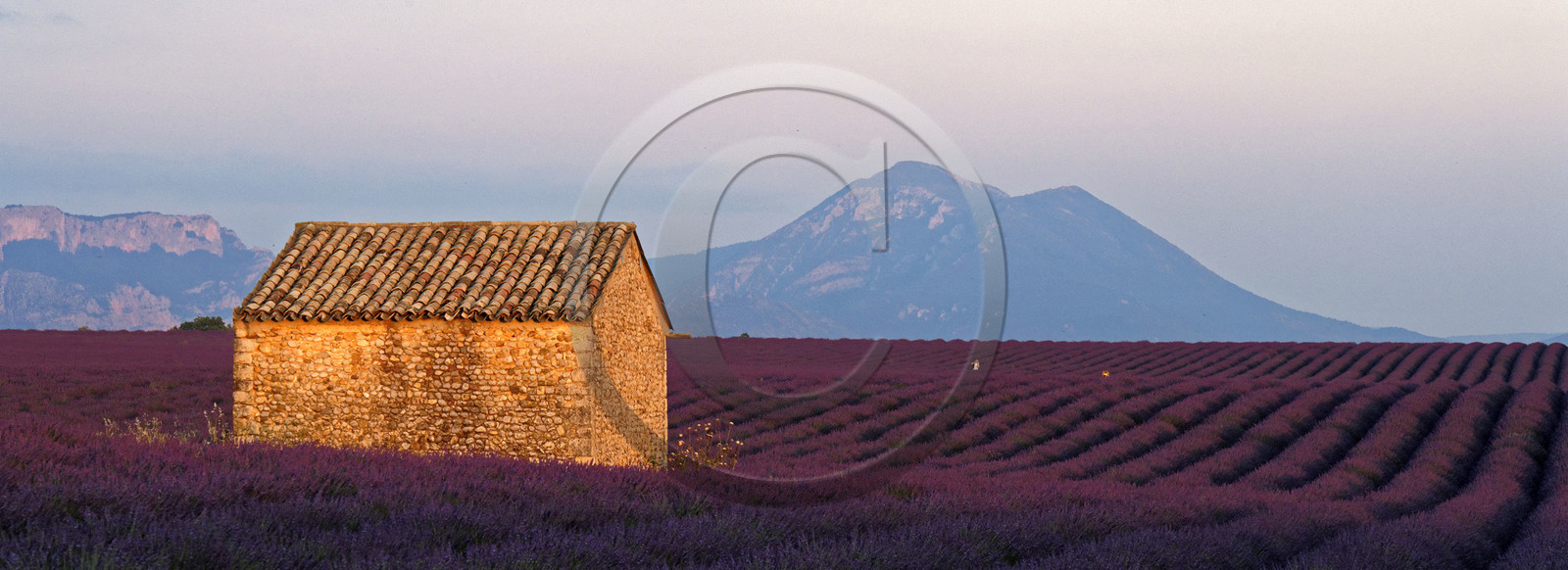 France, Valensole