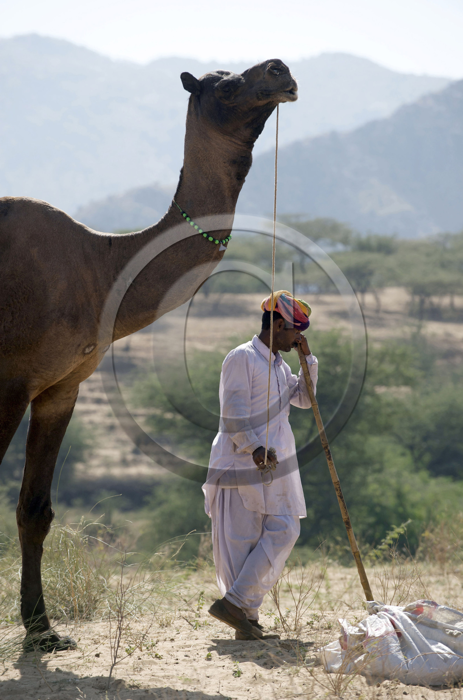 Inde, Pushkar
