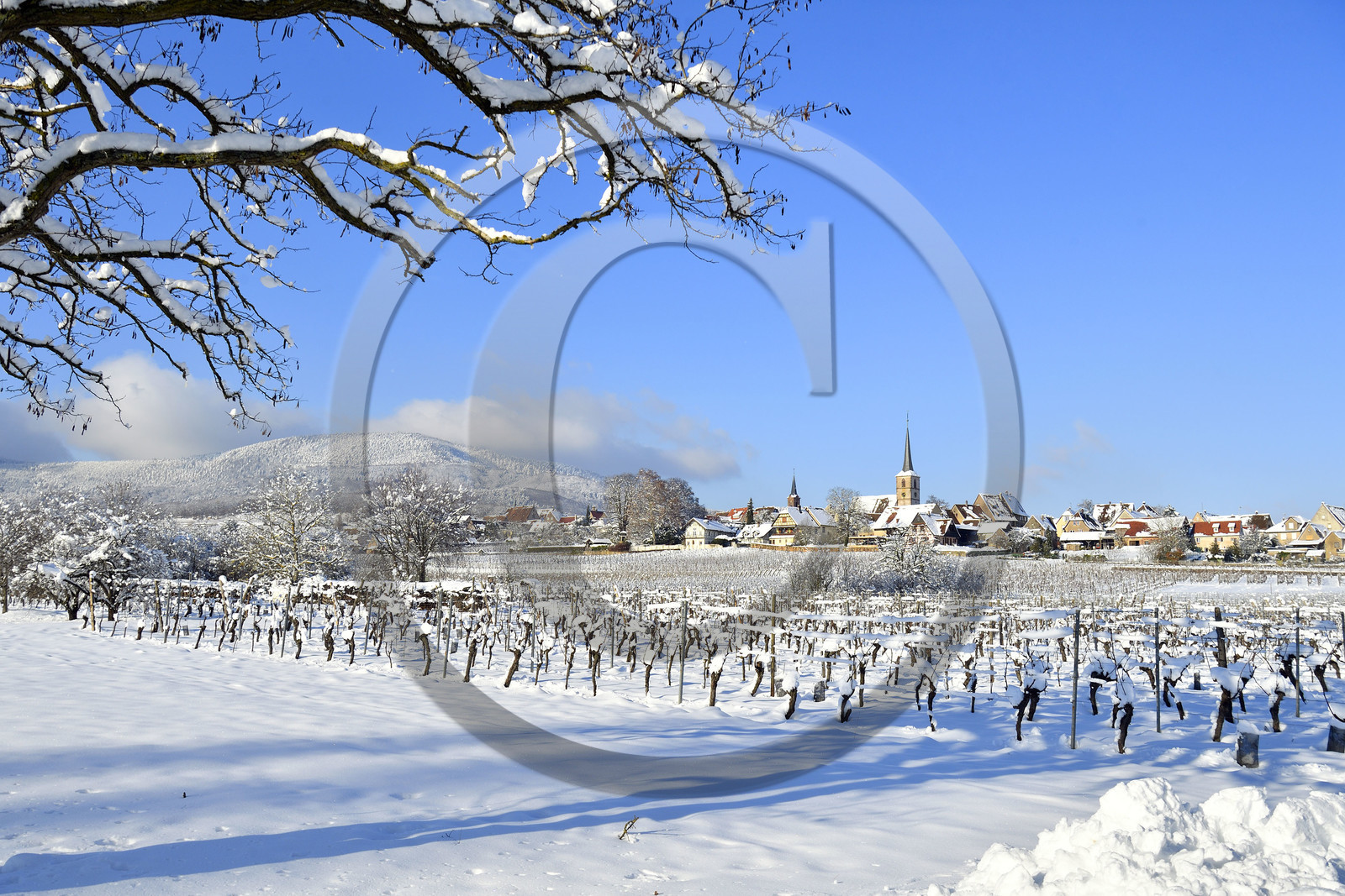 France, Mittelbergheim