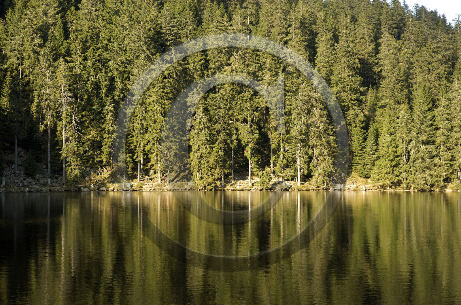 Allemagne, Forêt Noire