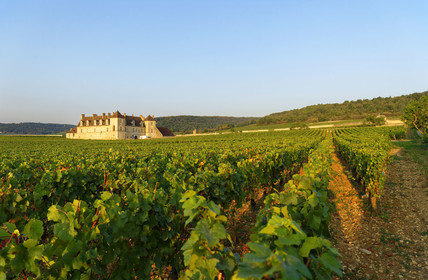 France, Vougeot