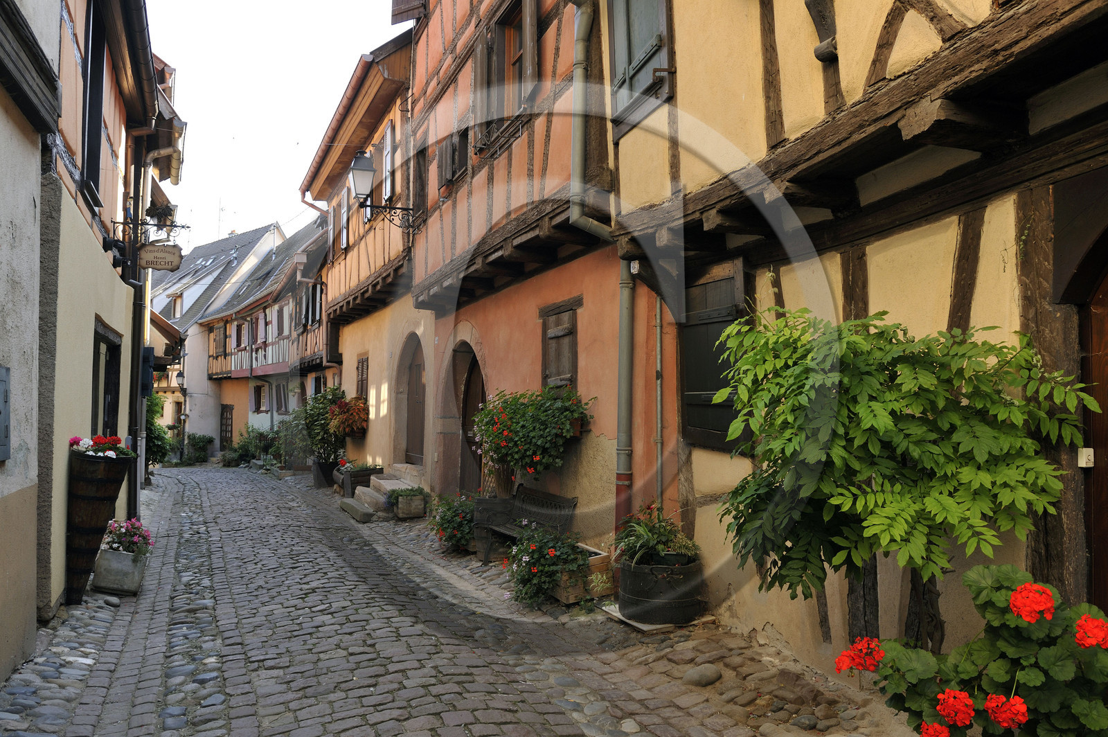 France, Eguisheim