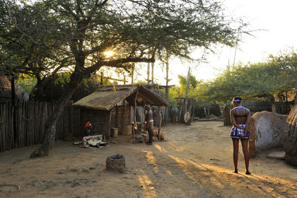 AFS, Shakaland