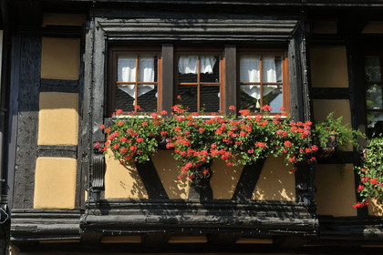 France, Eguisheim