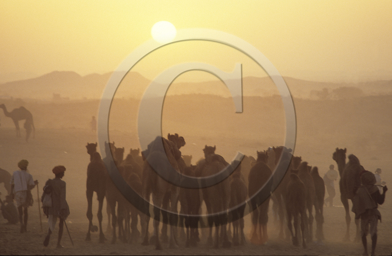 Pushkar, Rajasthan, Inde