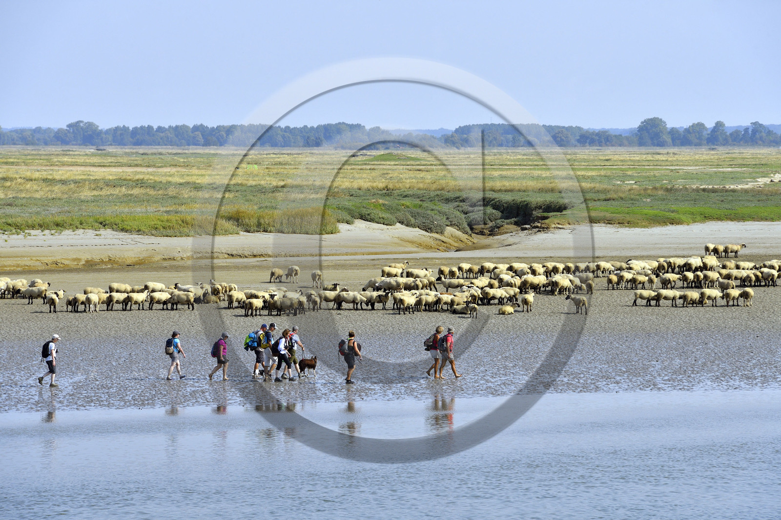 France, Baie de Somme