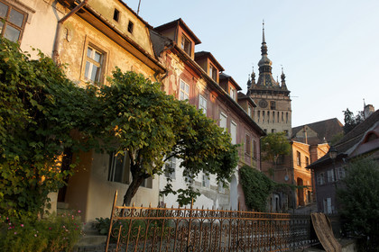 Roumanie, Sighisoara