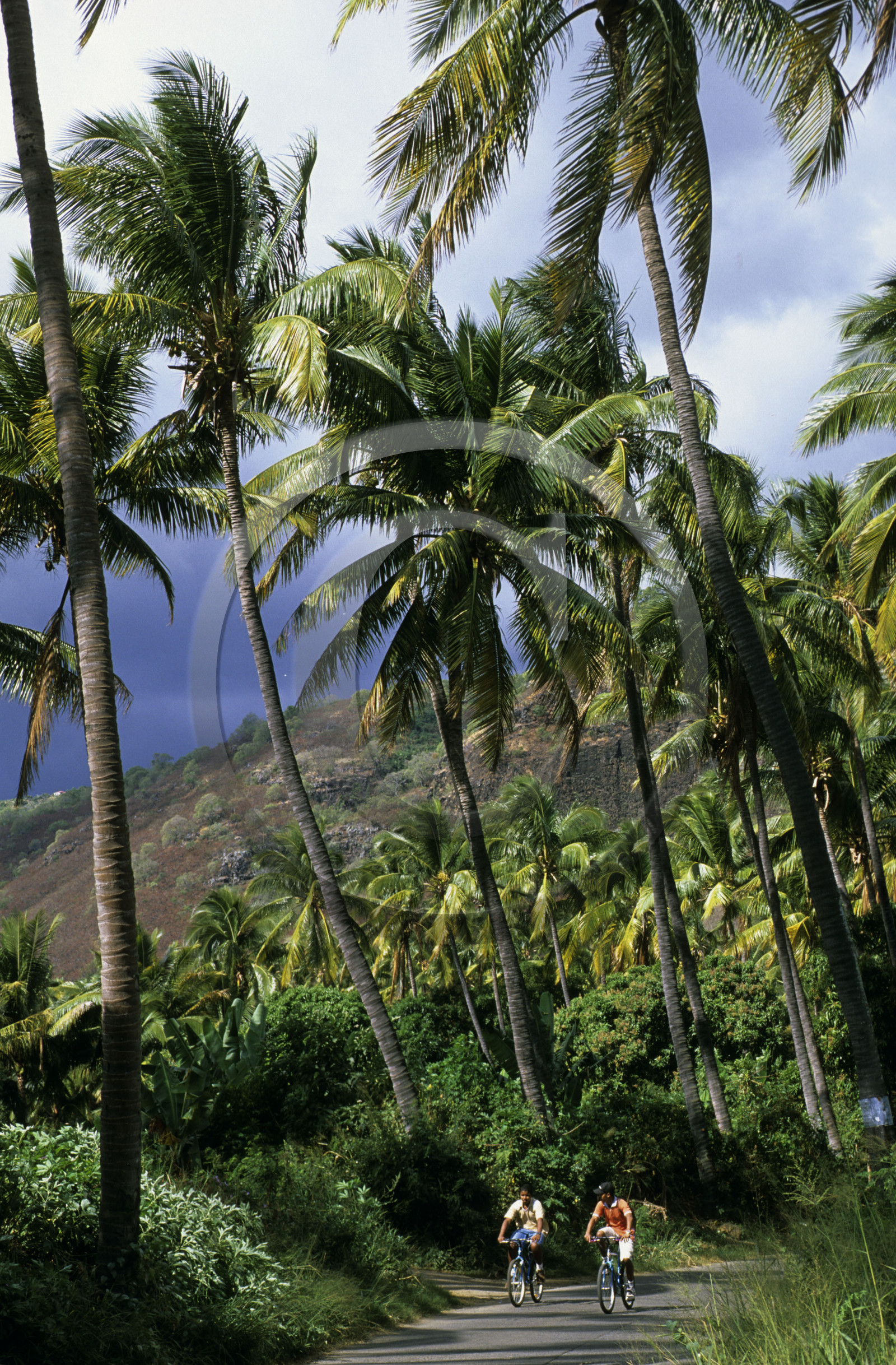 Ile de la Réunion.France