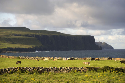 Irlande, Moher