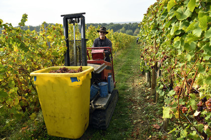 France, Dambach la Ville