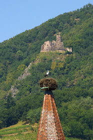 France,  Ribeauville