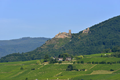 France,  Ribeauville