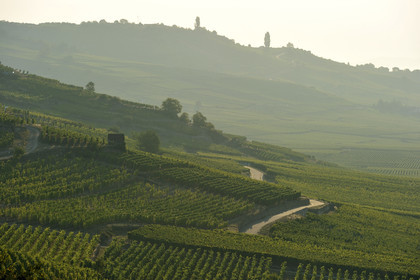 France, Kaysersberg