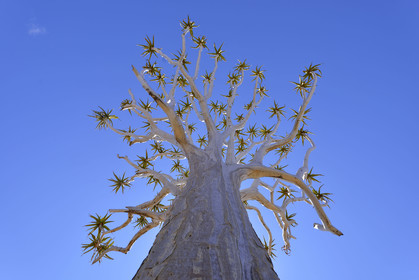 Namibie, Fish River Canyon