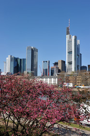 Allemagne, Francfort