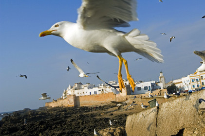 Essaouira, Maroc