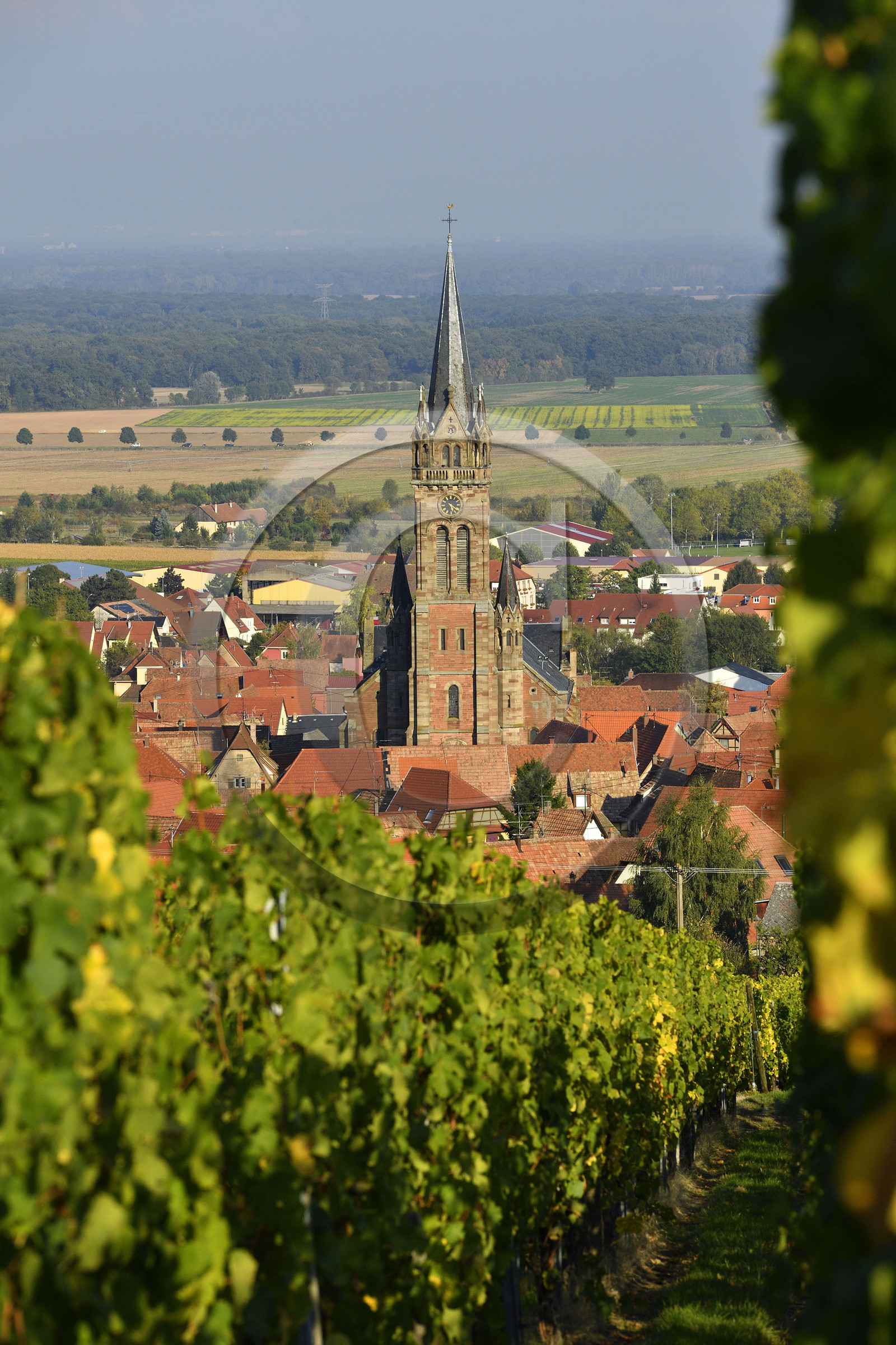 France, Dambach la Ville