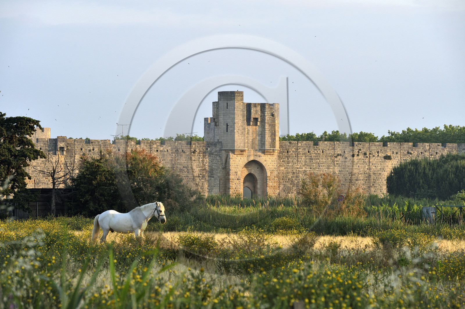 France, Aigues Mortes