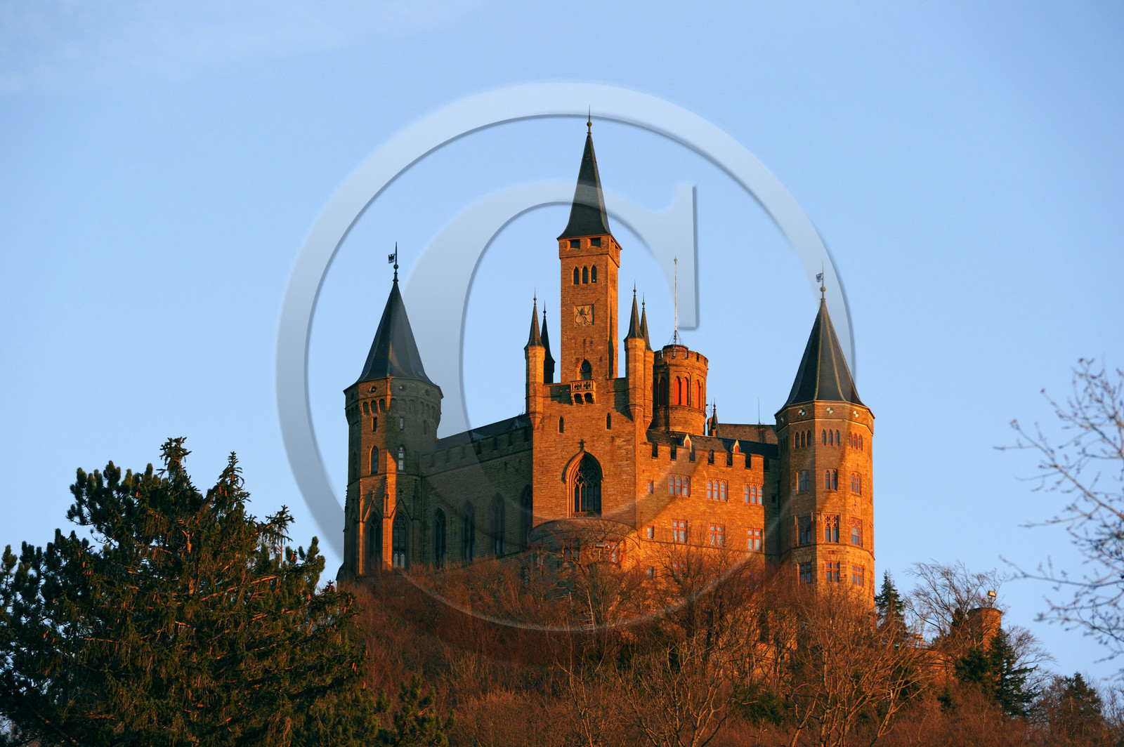 Allemagne, Hohenzollern