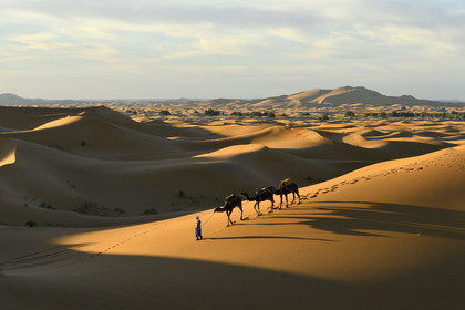 Maroc, Merzouga