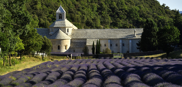 France, Senanque