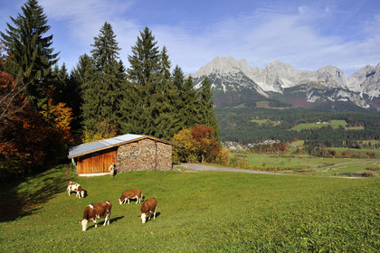 Autriche, Tyrol