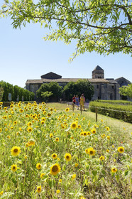 France, Saint Remy de Provence