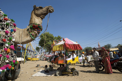 Inde, Pushkar