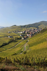 France, Niedermorschwihr