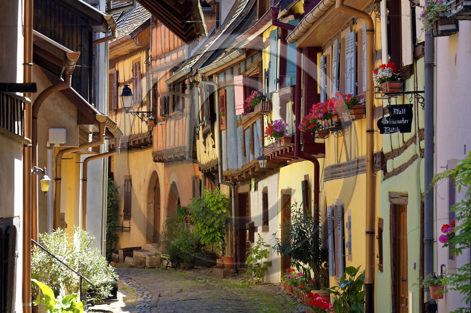 France, Eguisheim