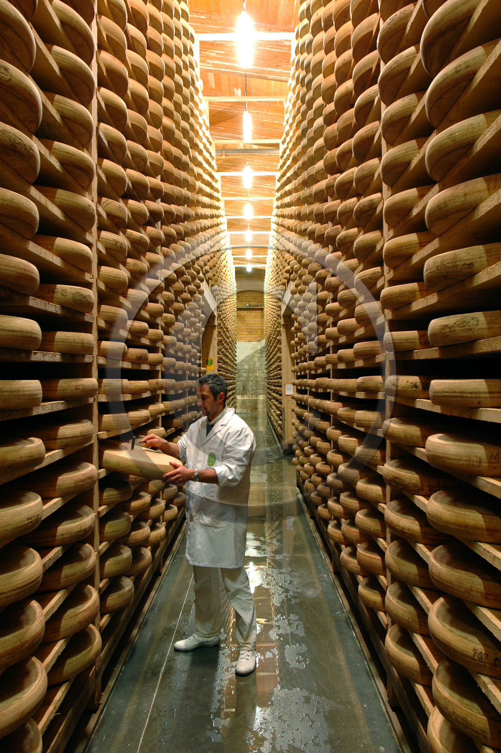 Franche-Comte, France