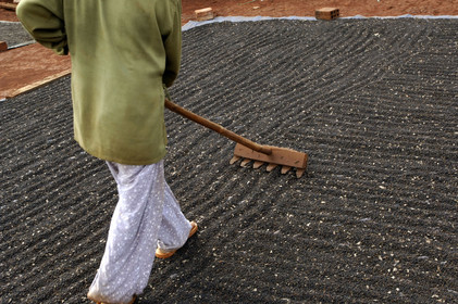 HAUTS PLATEAUX DU CENTRE, VIETNAM