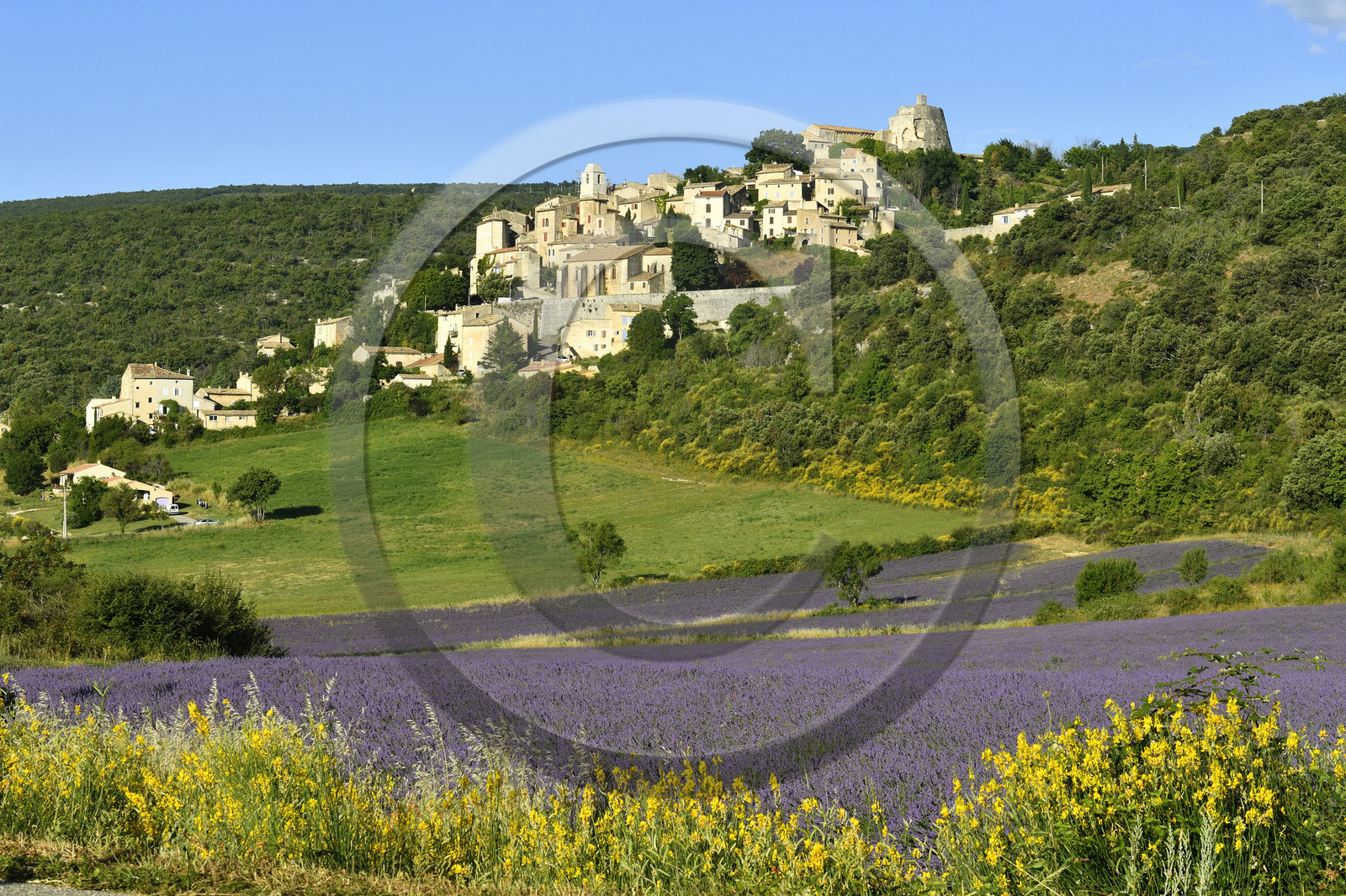 France, Simiane la Rotonde